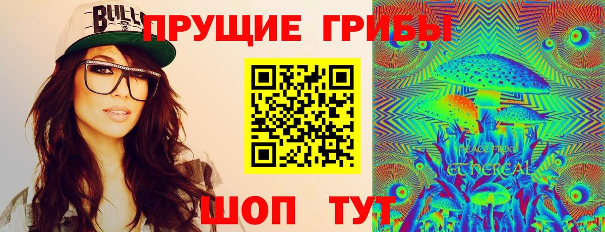 Псилоцибиновые грибы GOLDEN TEACHER Улан-Удэ